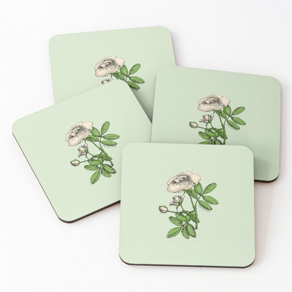 Item preview, Cream High-Centered Rose Bloom Single 1-7 Petals Almost Flat designed and sold by Rachael Taylor.