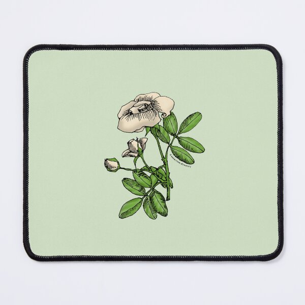 Item preview, Cream High-Centered Rose Bloom Single 1-7 Petals Almost Flat designed and sold by Rachael Taylor.