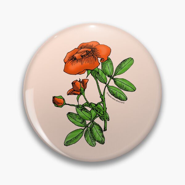 Item preview, Orange High-Centered Rose Bloom Single 1-7 Petals Almost Flat designed and sold by Rachael Taylor.