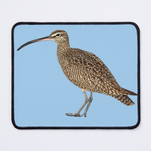 Item preview, Whimbrel Color Design  designed and sold by designsasstultd.