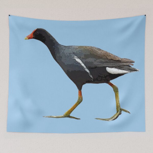 Item preview, Common Gallinule Color Design  designed and sold by designsasstultd.
