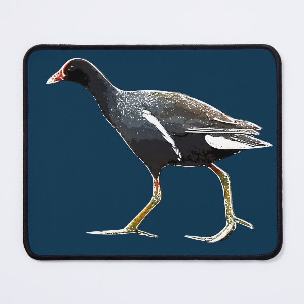 Item preview, Common Gallinule White Alternate Design designed and sold by designsasstultd.