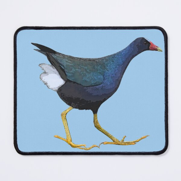 Item preview, Purple Gallinule Color Design  designed and sold by designsasstultd.