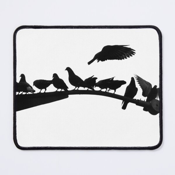 Item preview, Pigeons designed and sold by DanRoss.