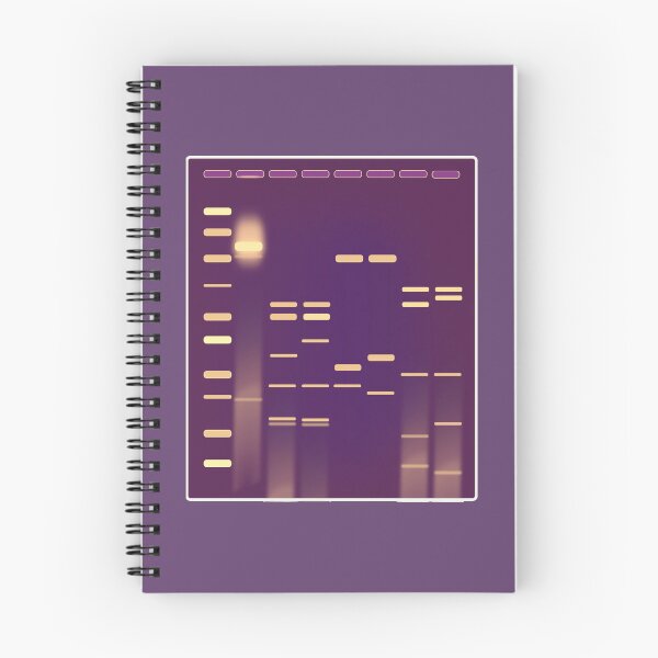 Item preview, DNA gel - UV designed and sold by MicroMarket.