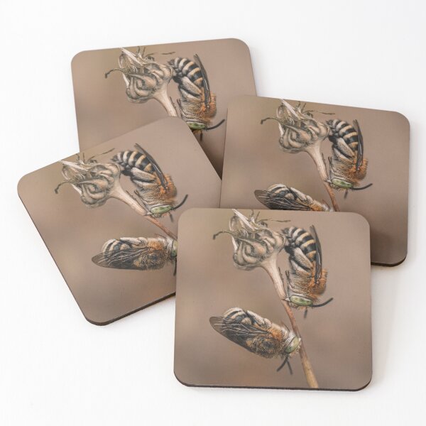 Item preview, Blue Banded Bees Roosting designed and sold by tiinyworlds.