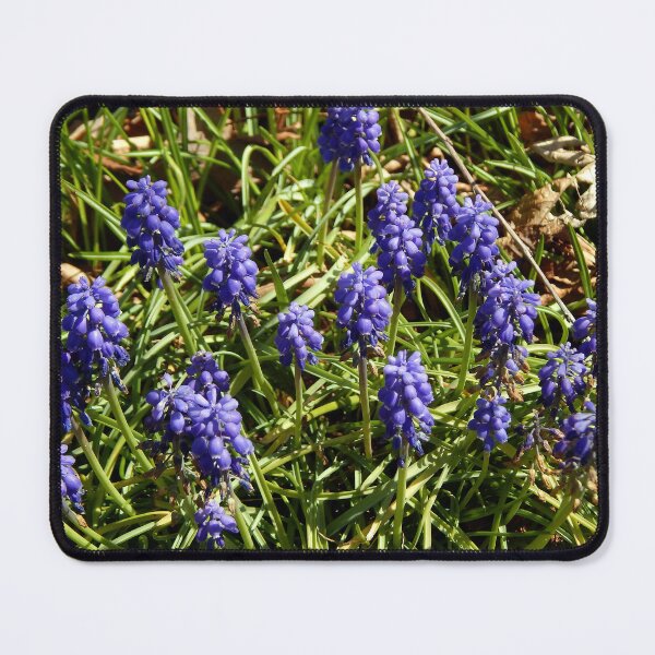Item preview, Grape Hyacinth Bouquet designed and sold by gistinker.