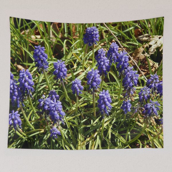 Item preview, Grape Hyacinth Bouquet designed and sold by gistinker.