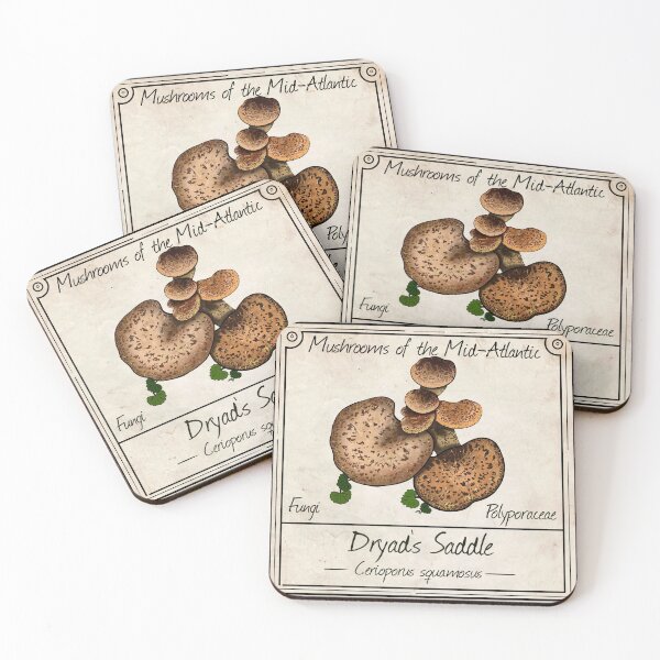 Item preview, Mushrooms of the Mid-Atlantic: Dryad’s Saddle Mushroom designed and sold by Cherie Brunetti.