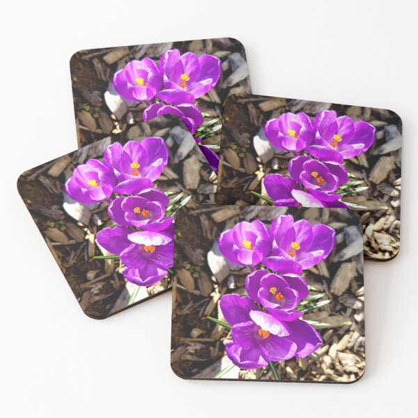 Item preview, Four Fresh Crocuses designed and sold by bjtomiko.