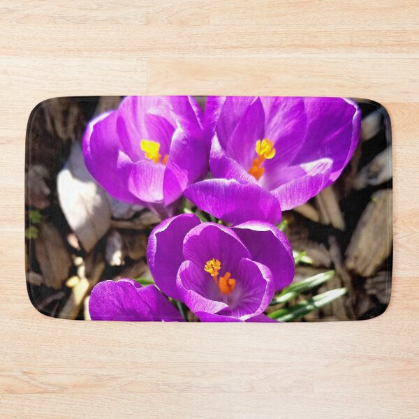 Item preview, Four Fresh Crocuses designed and sold by bjtomiko.