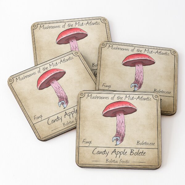 Item preview, Mushrooms of the Mid-Atlantic: Candy Apple Bolete Mushroom  designed and sold by Cherie Brunetti.