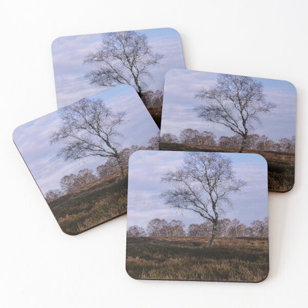 Artikelvorschau, Blattloser Baum in der Lünburger Heide entworfen und verkauft von Designsbygroovy.
