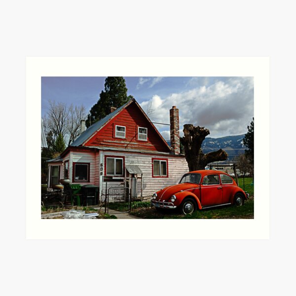 Bug on the Windshield Art Print