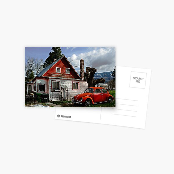 Bug on the Windshield Postcard