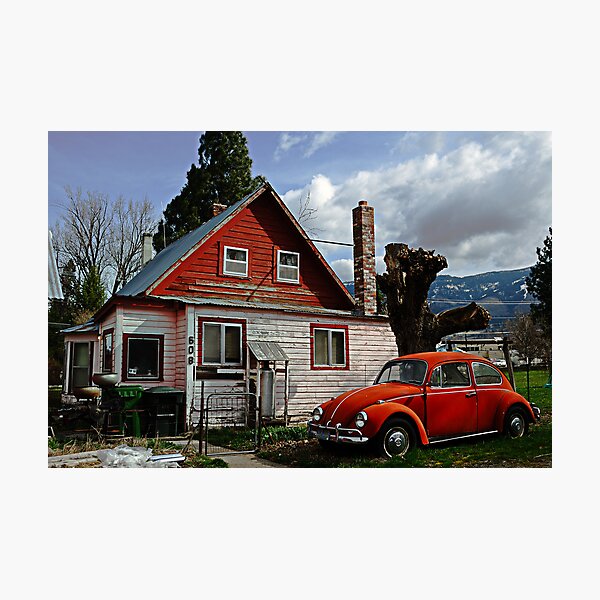Bug on the Windshield Photographic Print