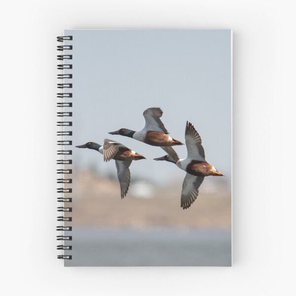 Item preview, Flyby designed and sold by Greg Birkett.