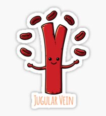 Funny Anatomy Jugular Vein Nurse Doctor Medical Student Sticker