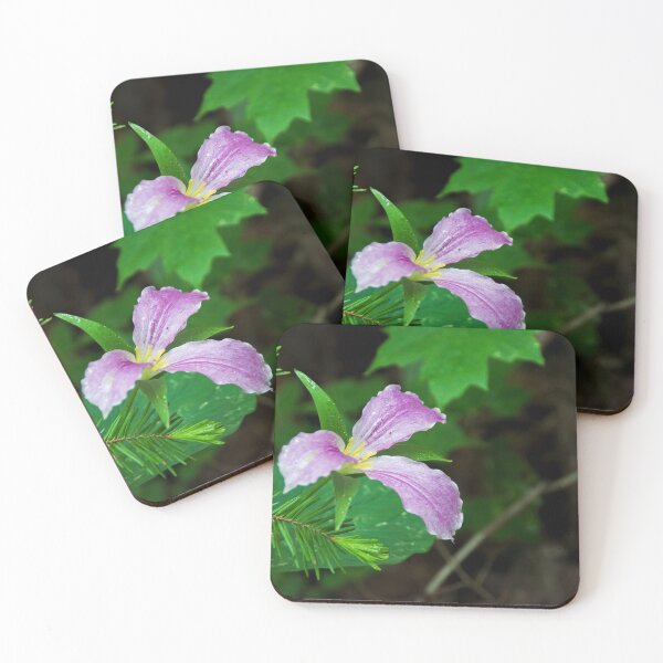 Item preview, Trillium Blooming in a Forest 2 designed and sold by jrtwynam.