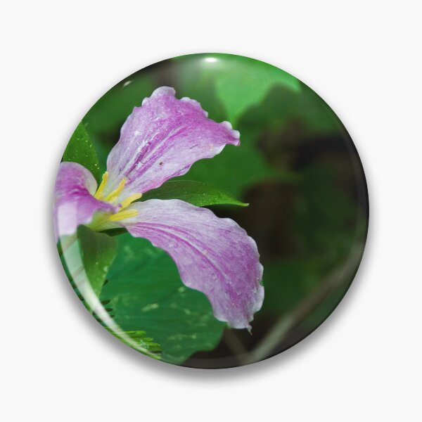 Item preview, Trillium Blooming in a Forest 2 designed and sold by jrtwynam.