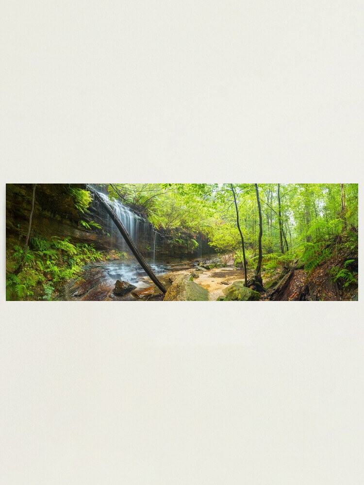 Thumbnail 1 of 3, Photographic Print, Junction Falls, Lawson. Blue Mountains. New South Wales, Australia designed and sold by Chockstone.