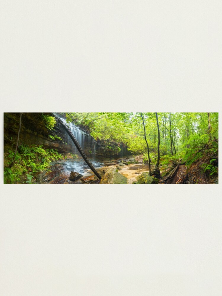 Thumbnail 1 of 3, Photographic Print, Junction Falls, Lawson. Blue Mountains. New South Wales, Australia designed and sold by Chockstone.