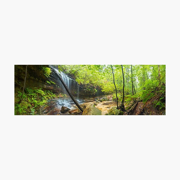 Photographic Print
