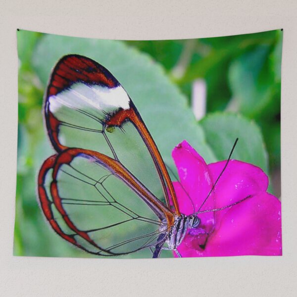 Item preview, “Golden-Edged Beauty: Glasswing Butterfly Sipping Nectar on Pink Blossom” designed and sold by IDoMatterROSASS.