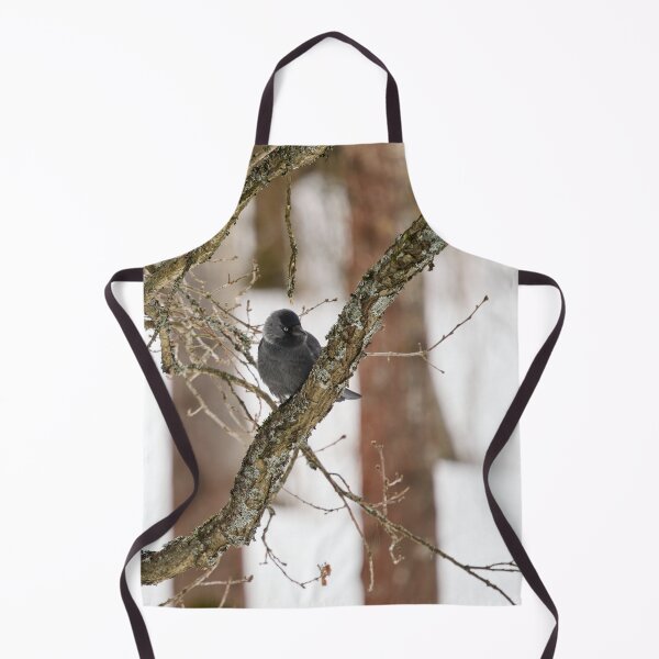 Item preview, Parkbird. Eurasian jackdaw designed and sold by Jouko Lehto Photography.
