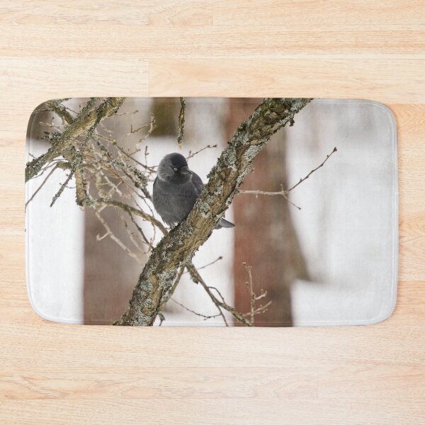 Item preview, Parkbird. Eurasian jackdaw designed and sold by Jouko Lehto Photography.