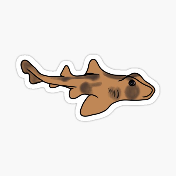Item preview, Crested Port Jackson Shark (Heterodontus galeatus) designed and sold by FishesofOz.