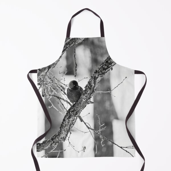Item preview, Parkbird. Eurasian jackdaw bw designed and sold by Jouko Lehto Photography.