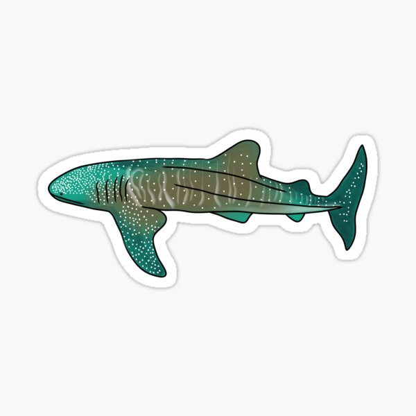 Artikel-Vorschau von Walhai (Rhincodon typus), designt und verkauft von FishesofOz.