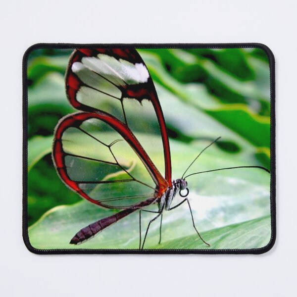 Item preview, “Golden Illuminations: A Translucent Butterfly’s Enchanting Grace” designed and sold by IDoMatterROSASS.