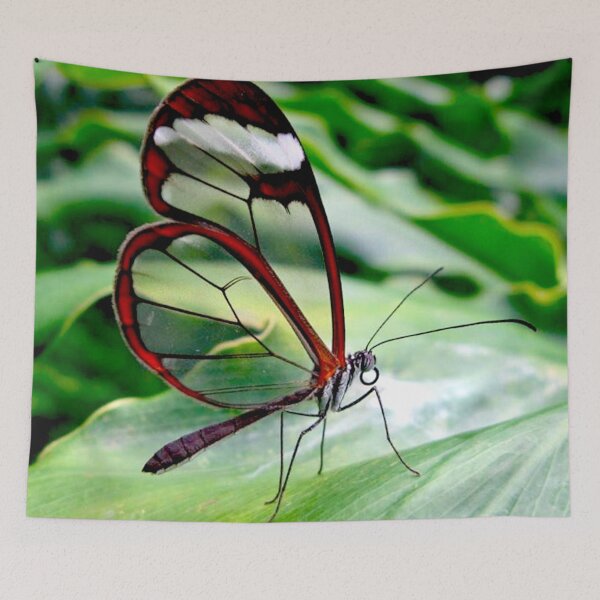 Item preview, “Golden Illuminations: A Translucent Butterfly’s Enchanting Grace” designed and sold by IDoMatterROSASS.