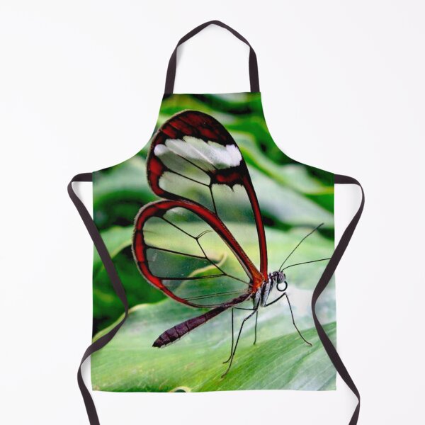 Item preview, “Golden Illuminations: A Translucent Butterfly’s Enchanting Grace” designed and sold by IDoMatterROSASS.