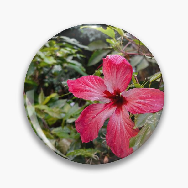 Item preview, Vienna Austria photo views flowers designed and sold by olusiamerch.