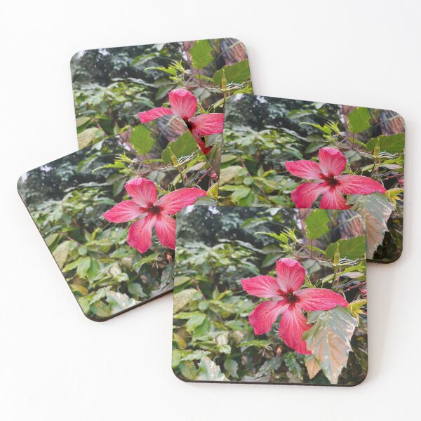 Item preview, Vienna Austria photo views flowers designed and sold by olusiamerch.