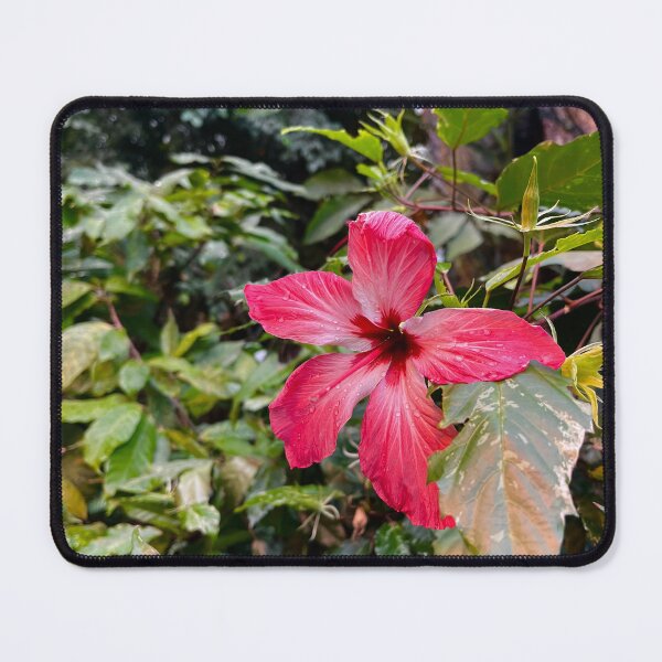 Item preview, Vienna Austria photo views flowers designed and sold by olusiamerch.