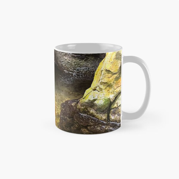 Item preview, Vienna Austria photo views aesthetic fish designed and sold by olusiamerch.