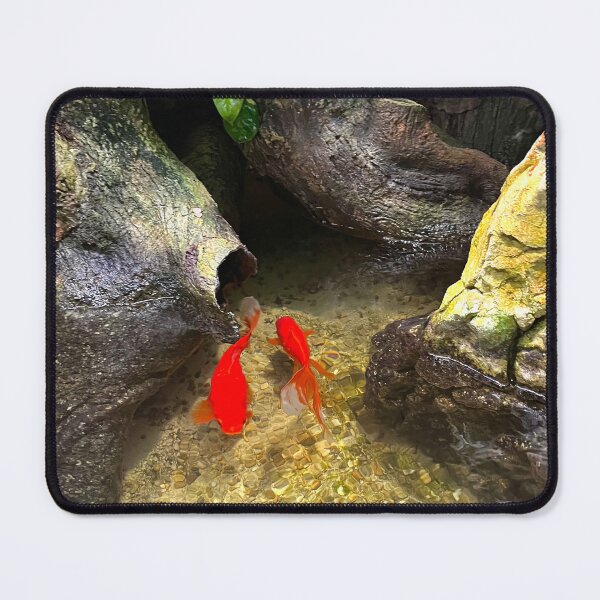 Item preview, Vienna Austria photo views aesthetic fish designed and sold by olusiamerch.