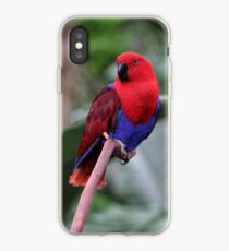 Ruby the Parrot iPhone Case