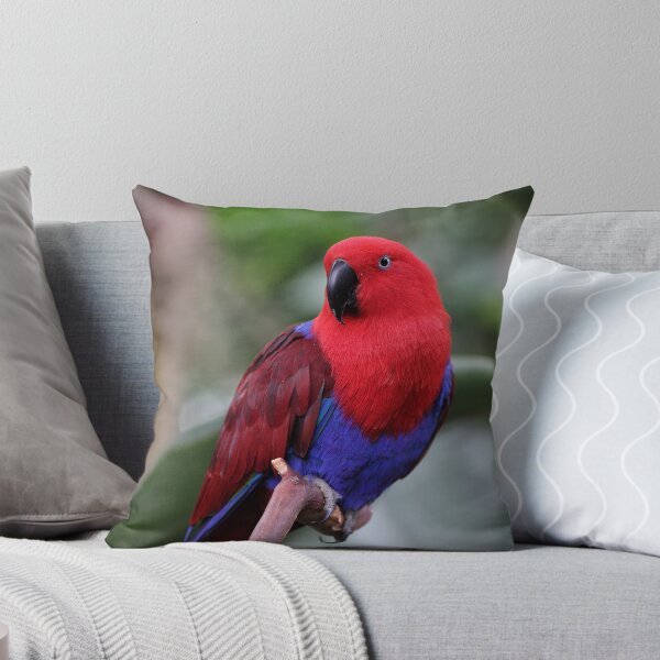 Item preview, Ruby the Parrot designed and sold by Tracy Friesen.