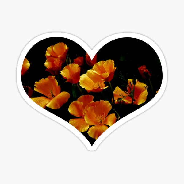 Item preview, California golden poppy flowers designed and sold by WolfbornT.