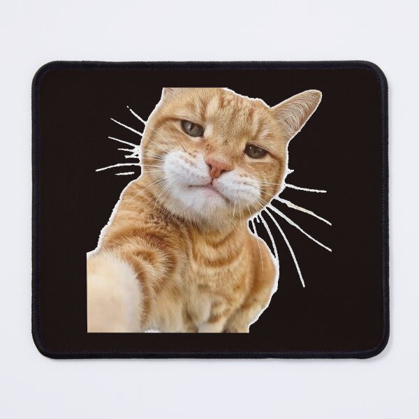 Item preview, Orange cat designed and sold by lemadjom.