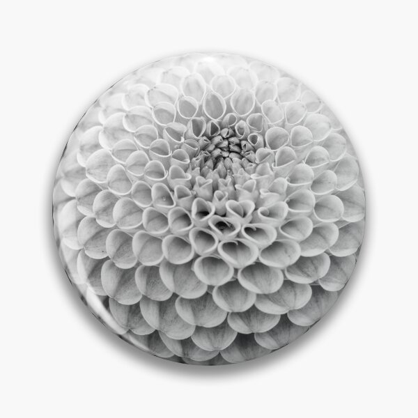 Item preview, Black And White Pompon Dahlia designed and sold by Tanya C  Smith.