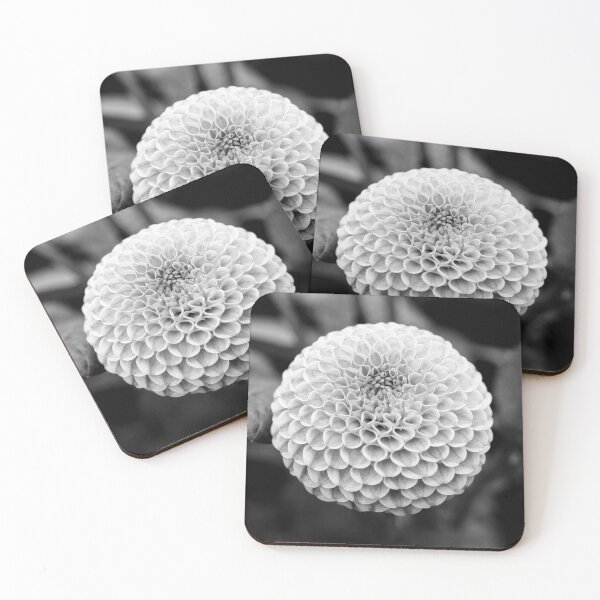 Item preview, Black And White Pompon Dahlia designed and sold by Tanya C  Smith.