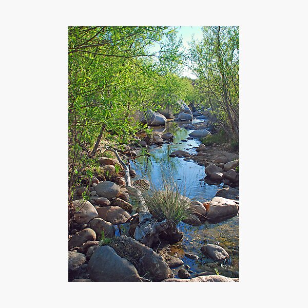 Item preview, Catalina State Park #3 designed and sold by Barbara Manis.