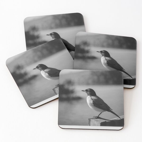Item preview, Black and White Bird Photography designed and sold by FamousNameless.