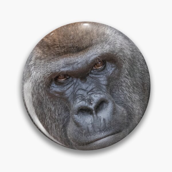 Item preview, Gorilla Stadi at Zoo Atlanta designed and sold by Zoo and Nature Photography by Karie.